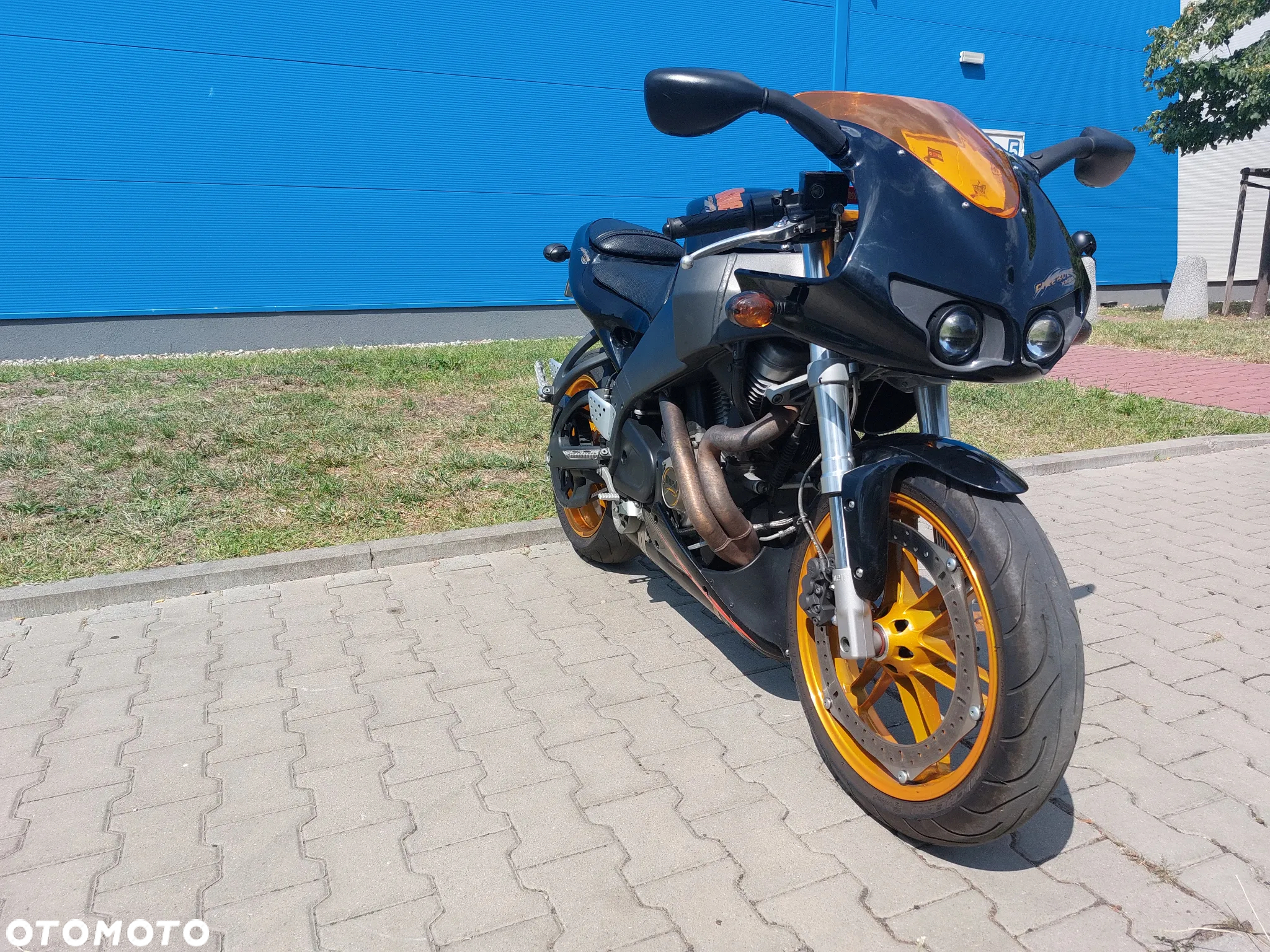 Buell XB - 7