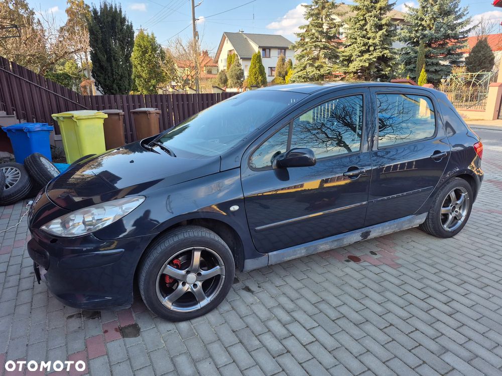 Peugeot 307 - 14