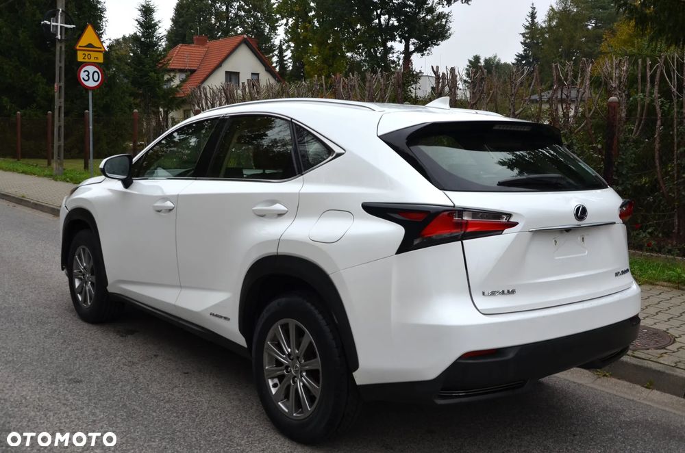 Lexus NX 350h Elegance 2WD - 5