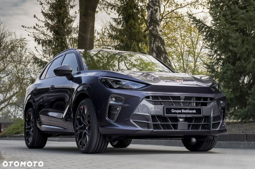 Cupra Terramar - 5