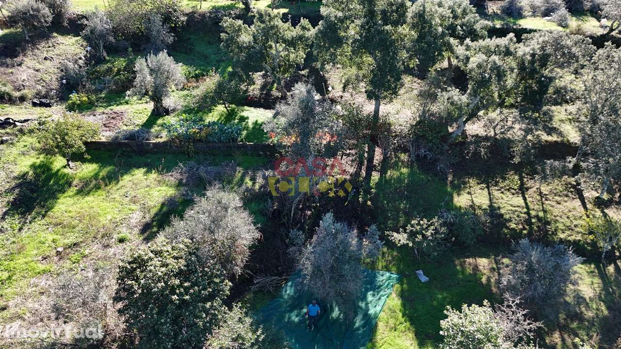 Terreno Misto  Venda em Cardigos,Mação - Grande imagem: 5/30