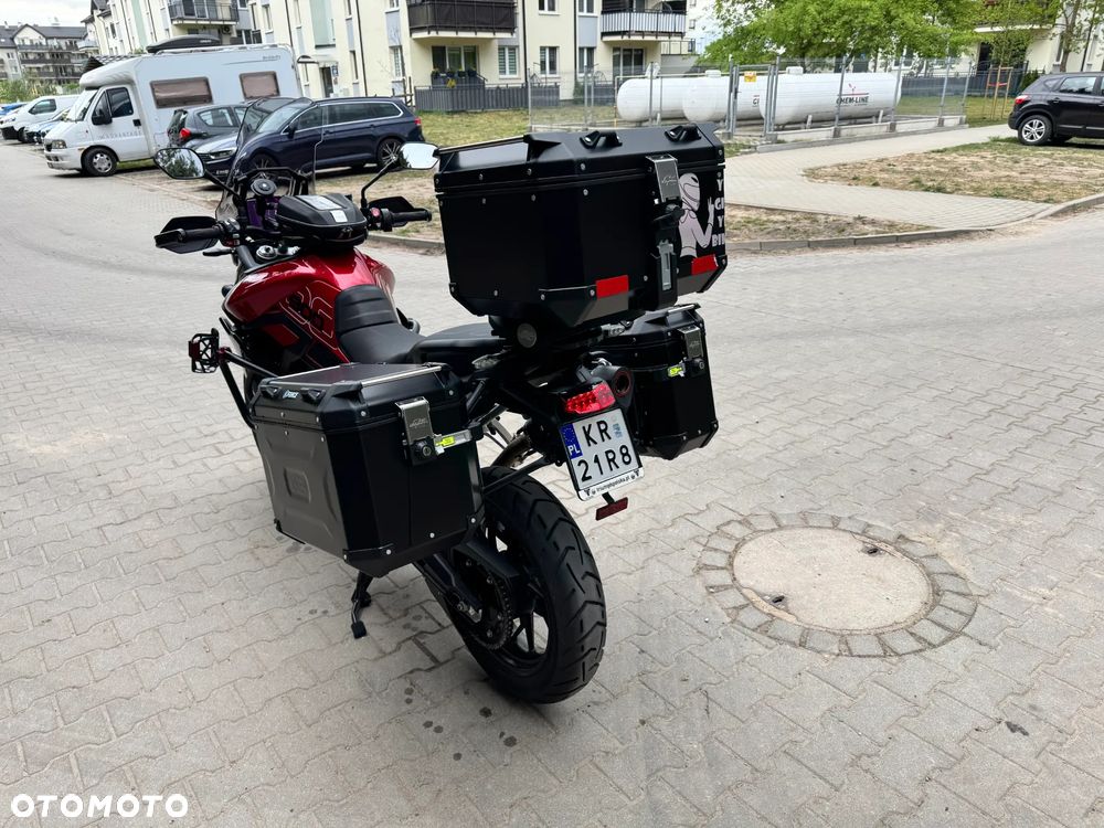 Triumph Tiger - 16