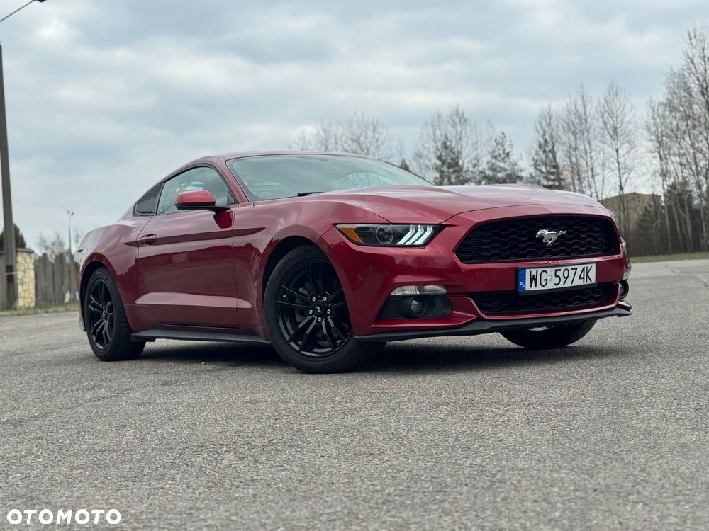 Ford Mustang 2.3 EcoBoost - 25