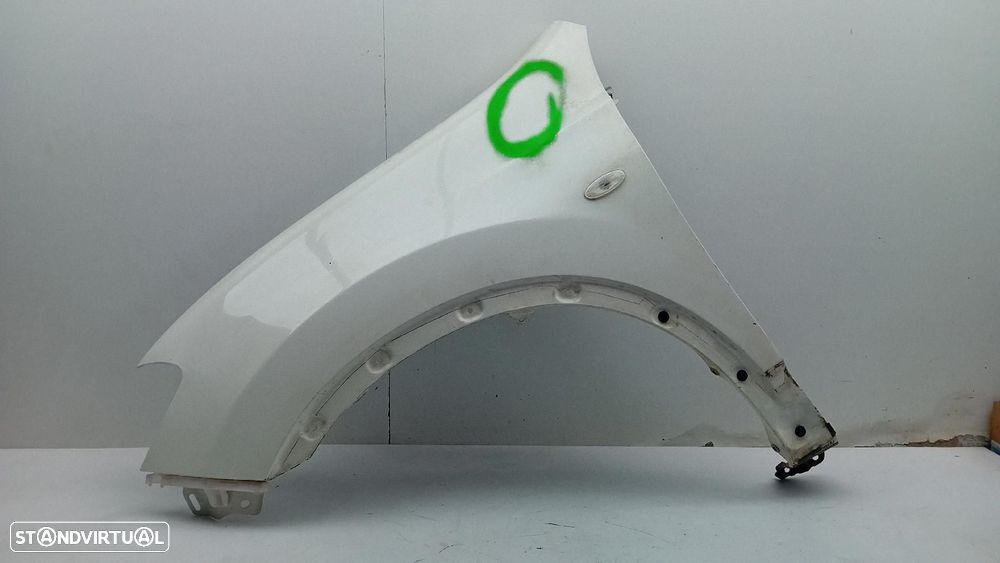 Guarda-lamas esquerdo NISSAN Qashqai/Qashqai+2 I (J10, JJ10) - 1