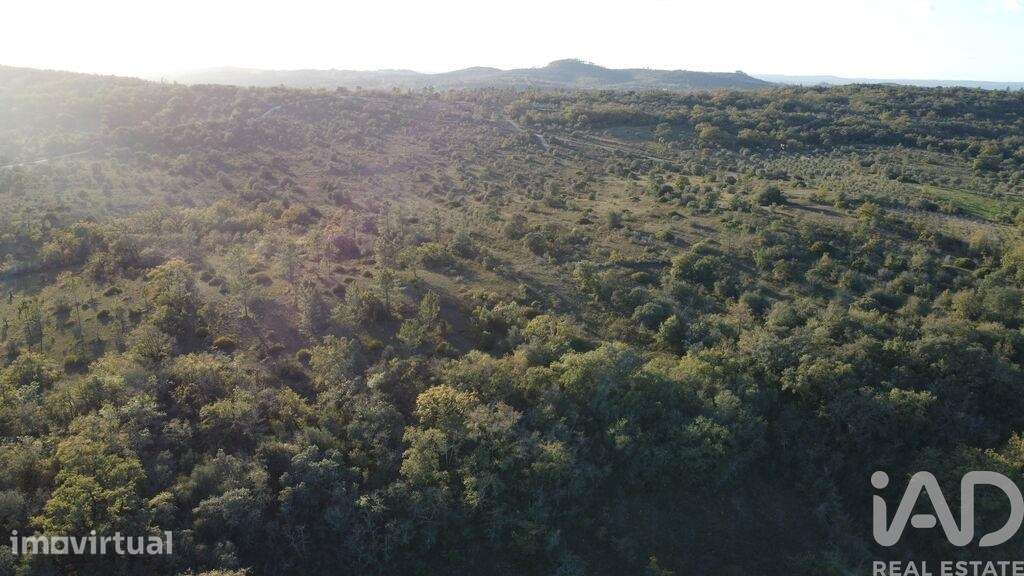Terreno em Areias e Pias de 2560,00 m2