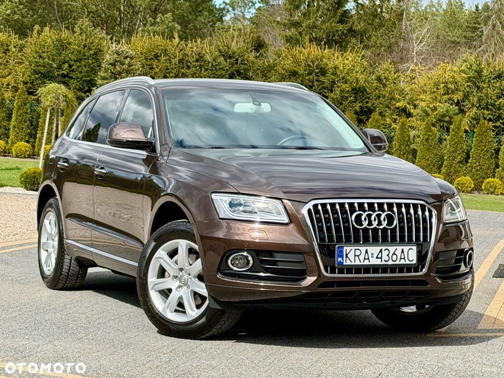 Audi Q5 - 24