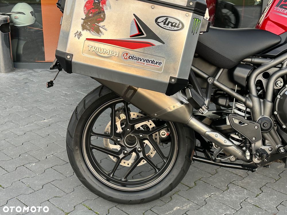 Triumph Tiger - 6