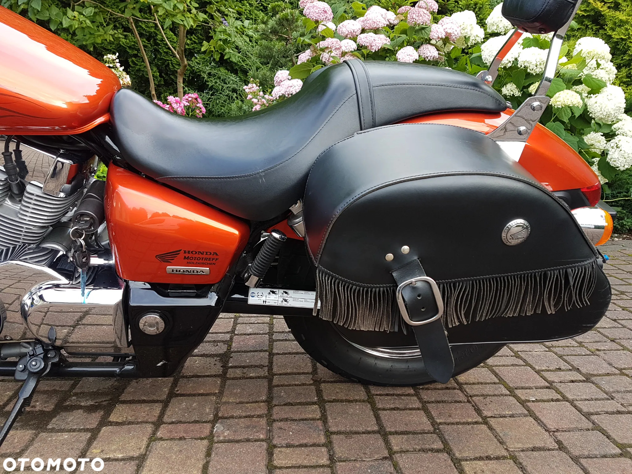 Honda Shadow - 15