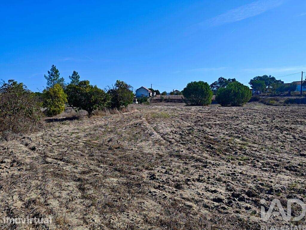 Terreno em Coruche, Fajarda e Erra - Grande imagem: 5/18