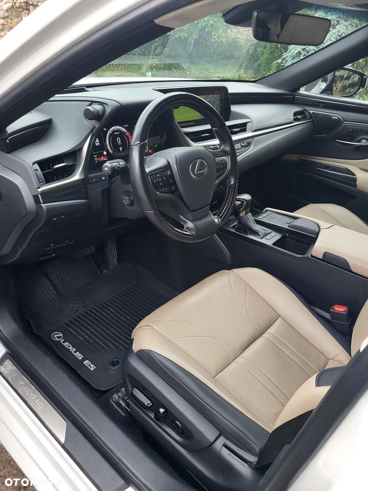 Lexus ES 300h Omotenashi - 14