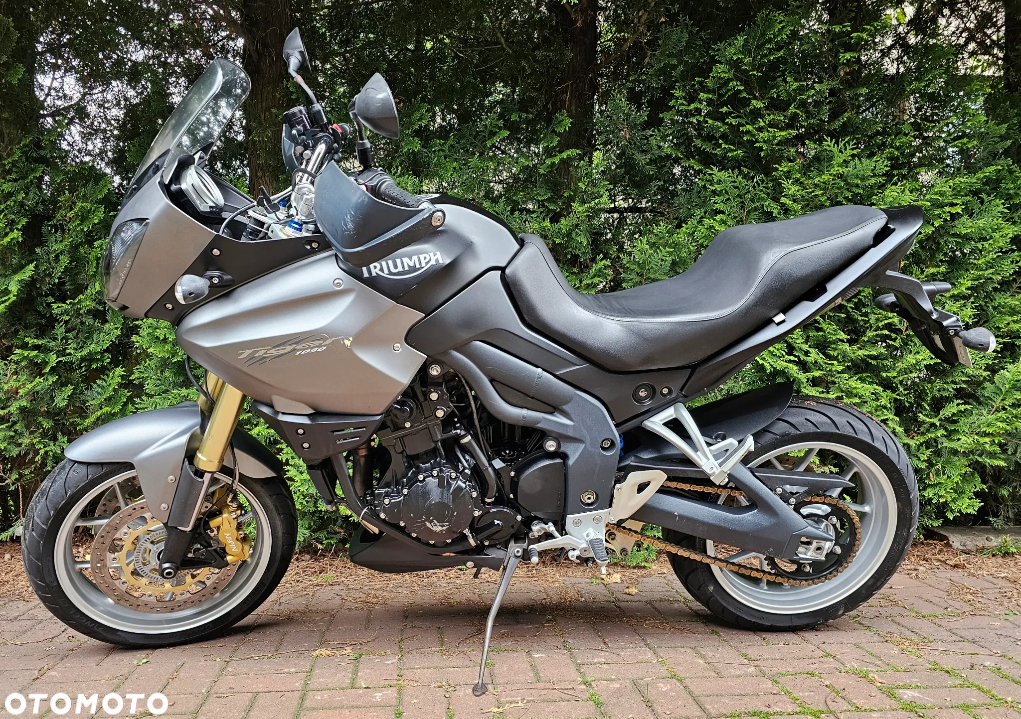 Triumph Tiger - 14