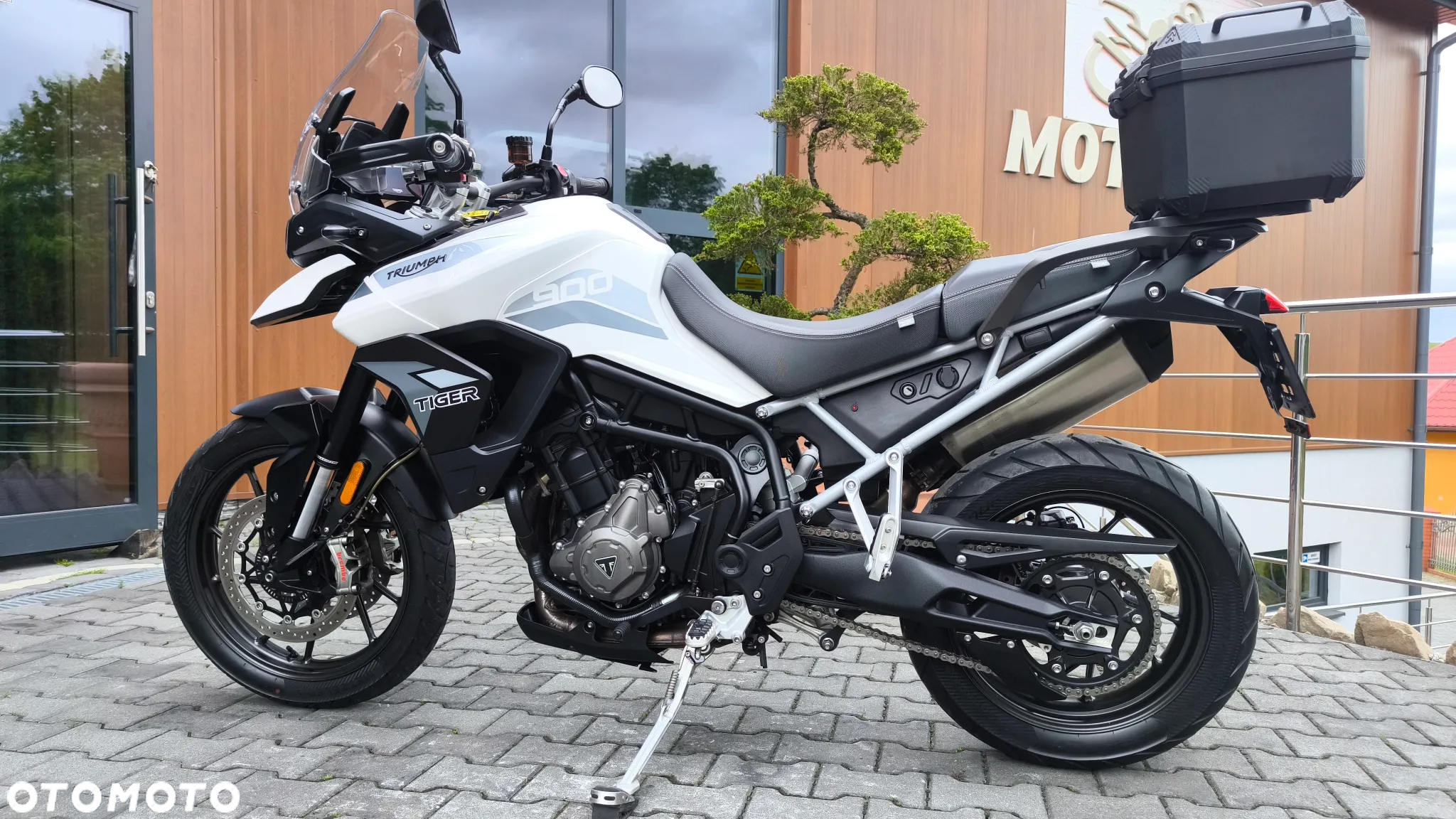 Triumph Tiger - 6