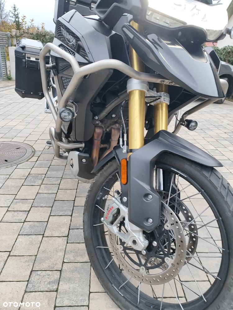 Triumph Tiger - 14