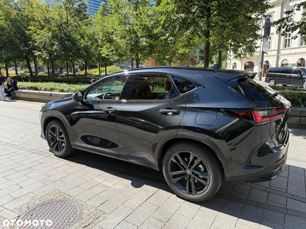 Lexus NX - 6