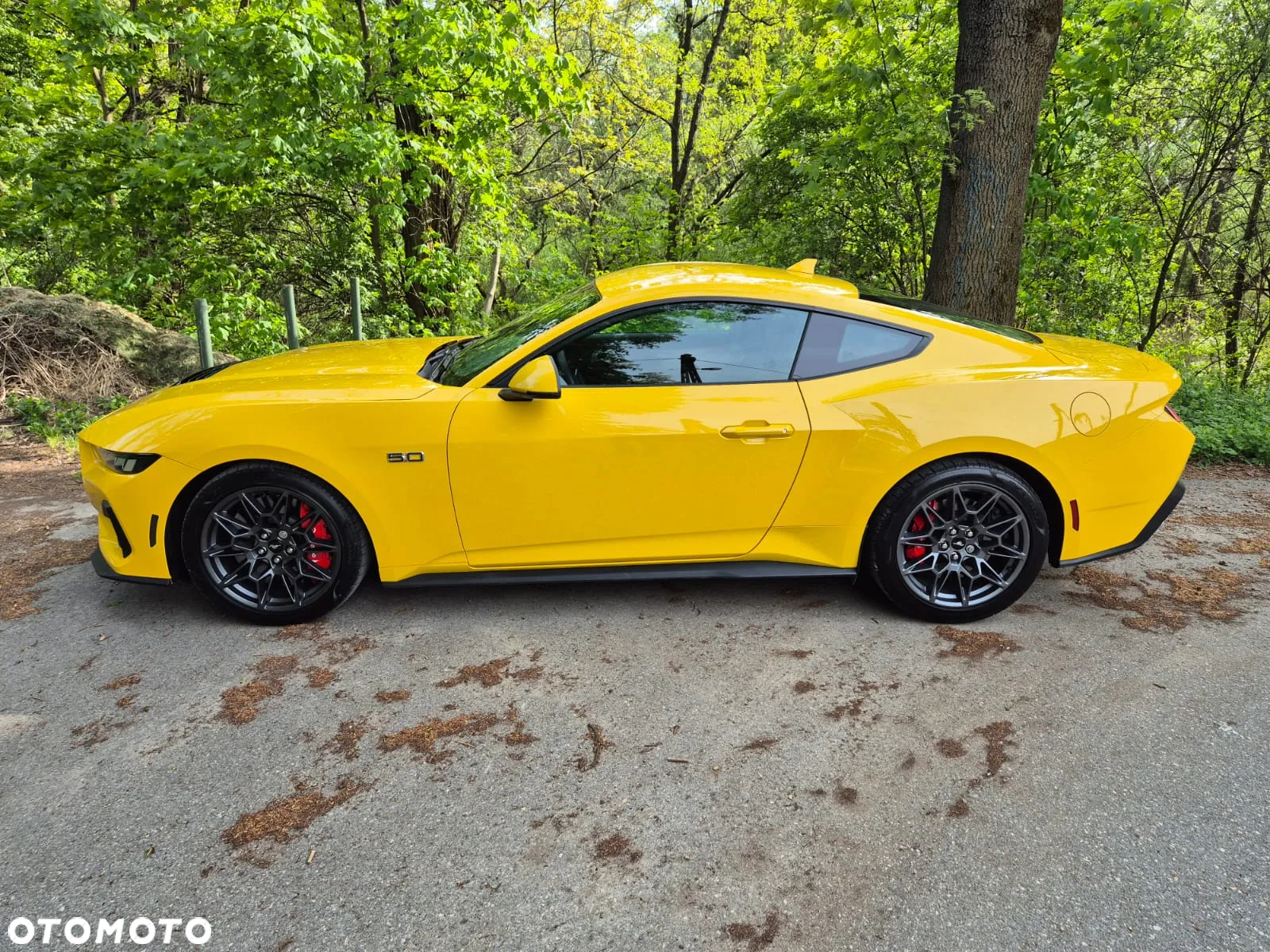 Ford Mustang Fastback 5.0 Ti-VCT V8 GT - 30