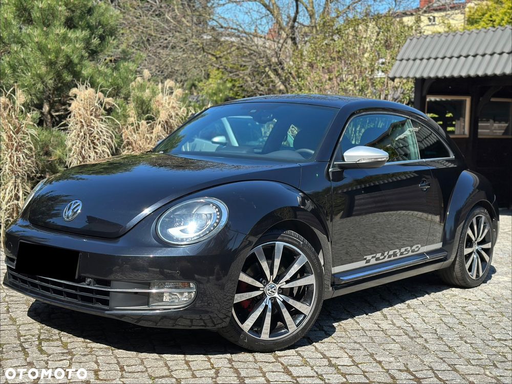 Volkswagen Beetle - 1