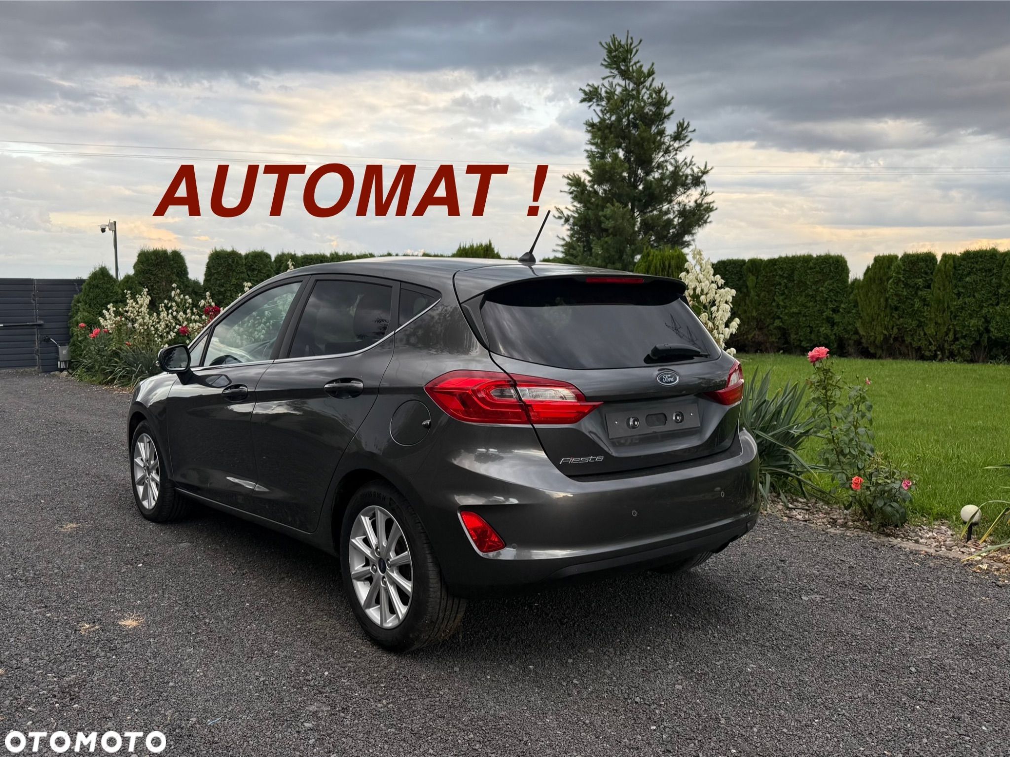 Ford Fiesta - 1