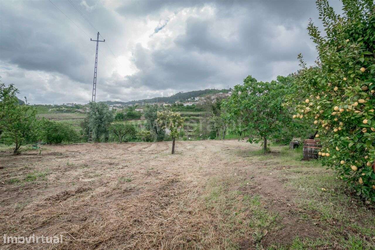 Terreno / Cinfães, Souselo - Grande imagem: 3/8