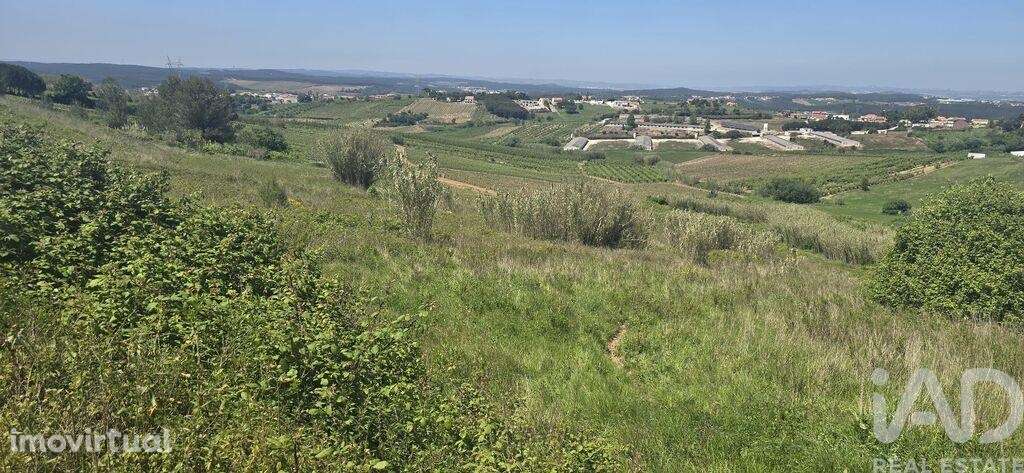 Terreno Agrícola em Vilar - Grande imagem: 2/9