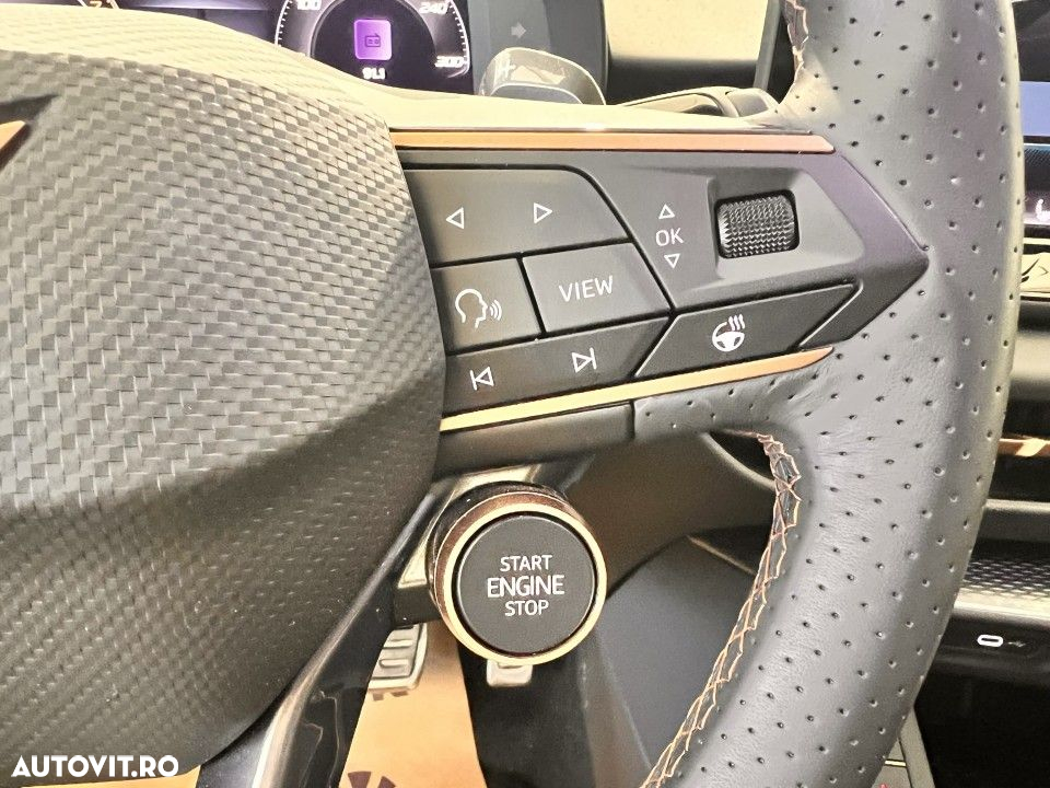 Cupra Terramar - 17