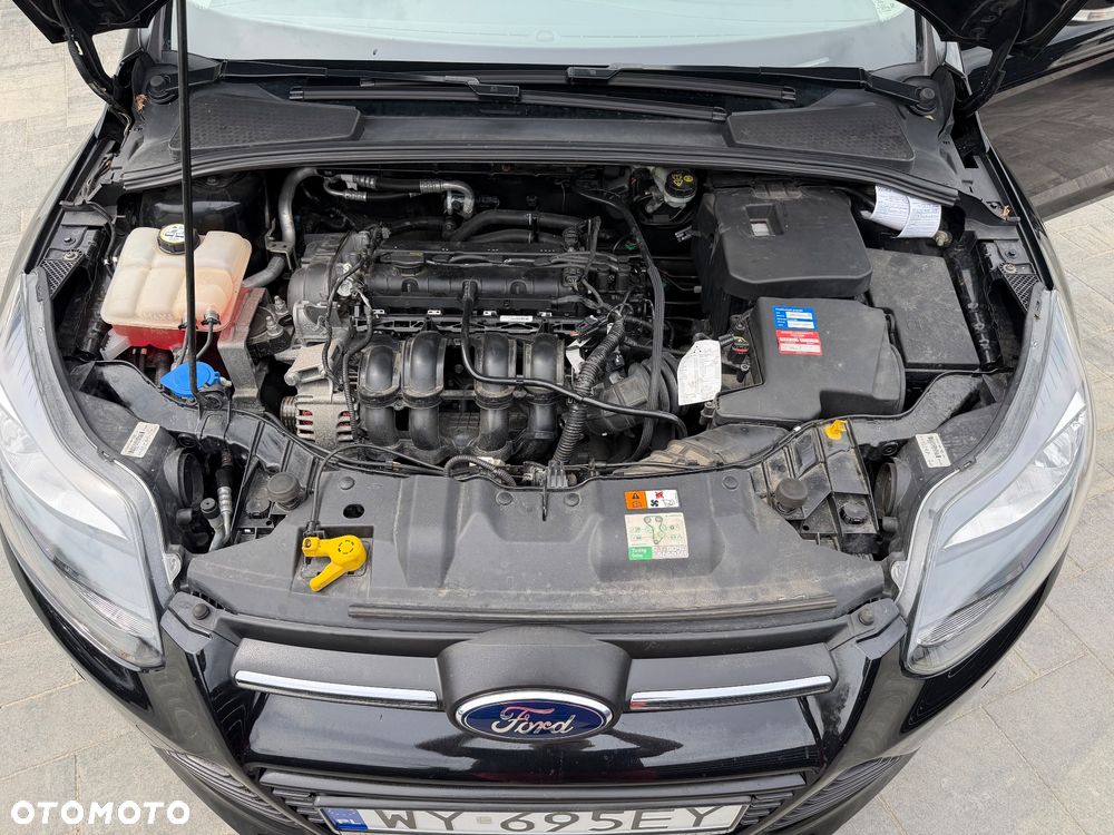 Ford Focus 1.6 TI-VCT Champions Edition - 19