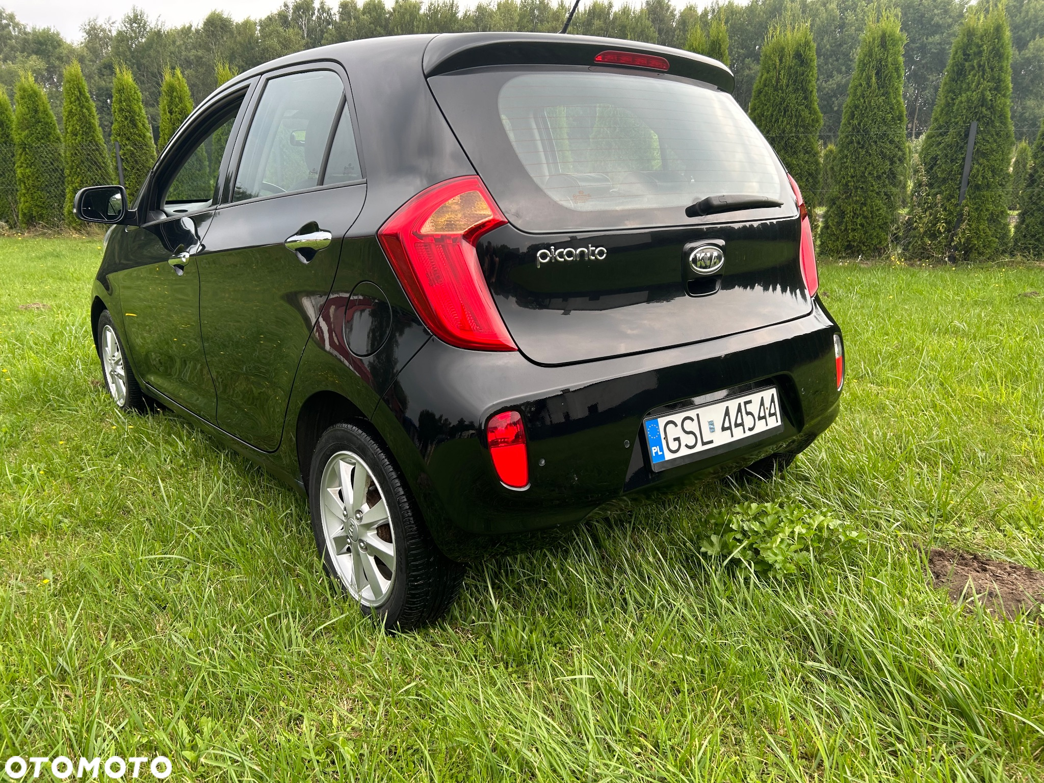 Kia Picanto 1.2 Automatik Platinum Edition - 6