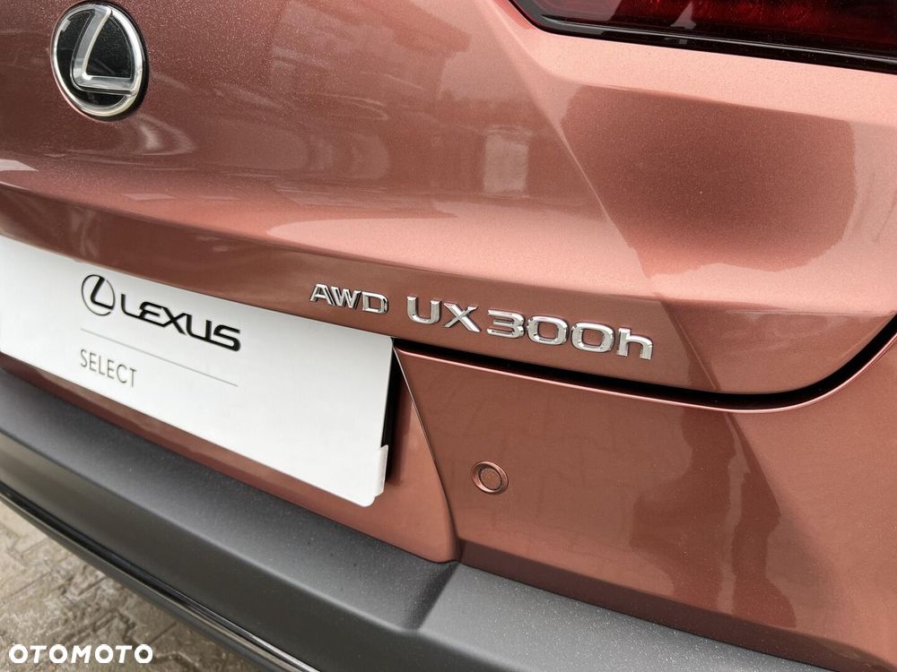 Lexus UX - 10