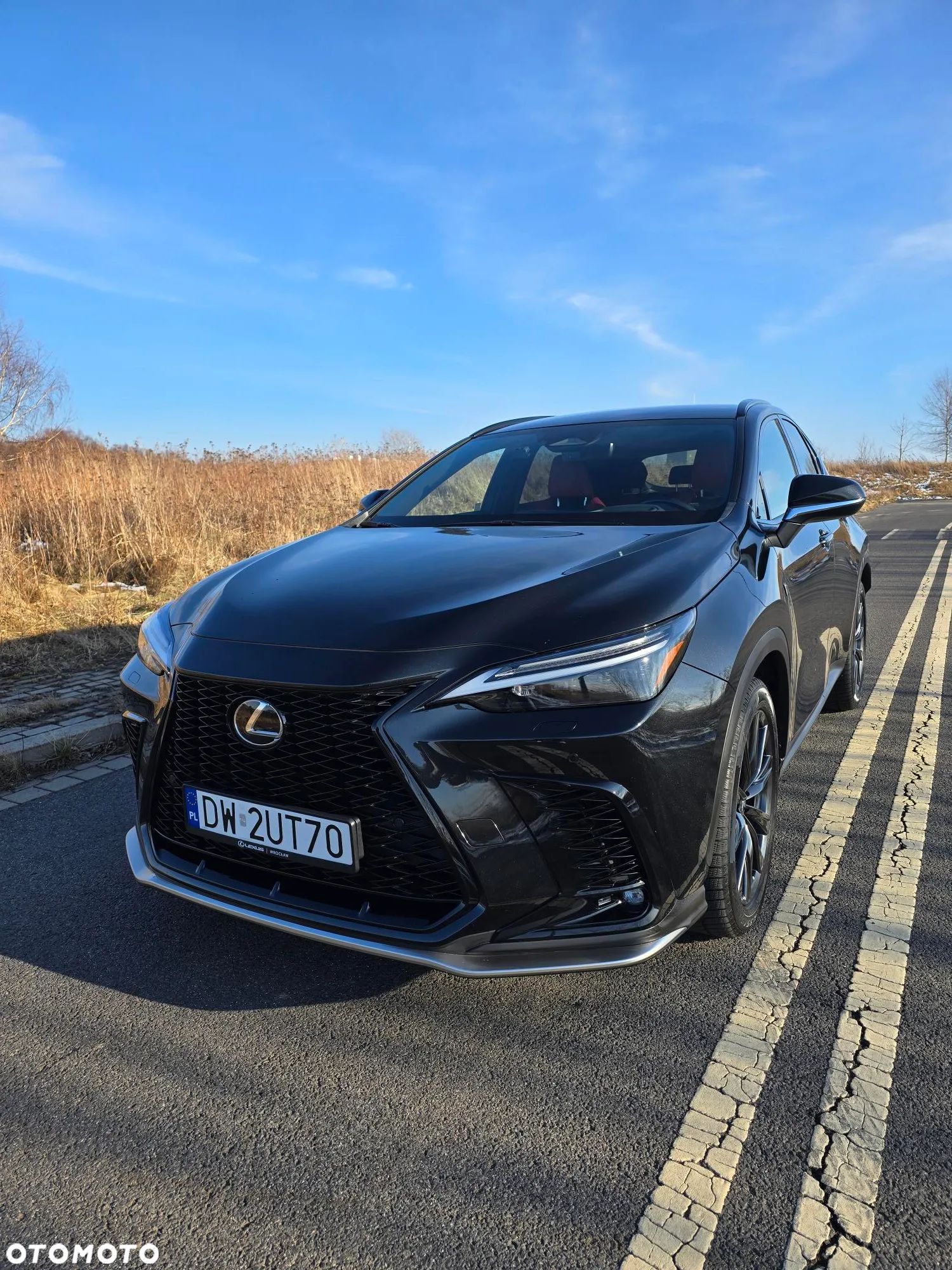 Lexus NX 350h F Sport AWD - 1