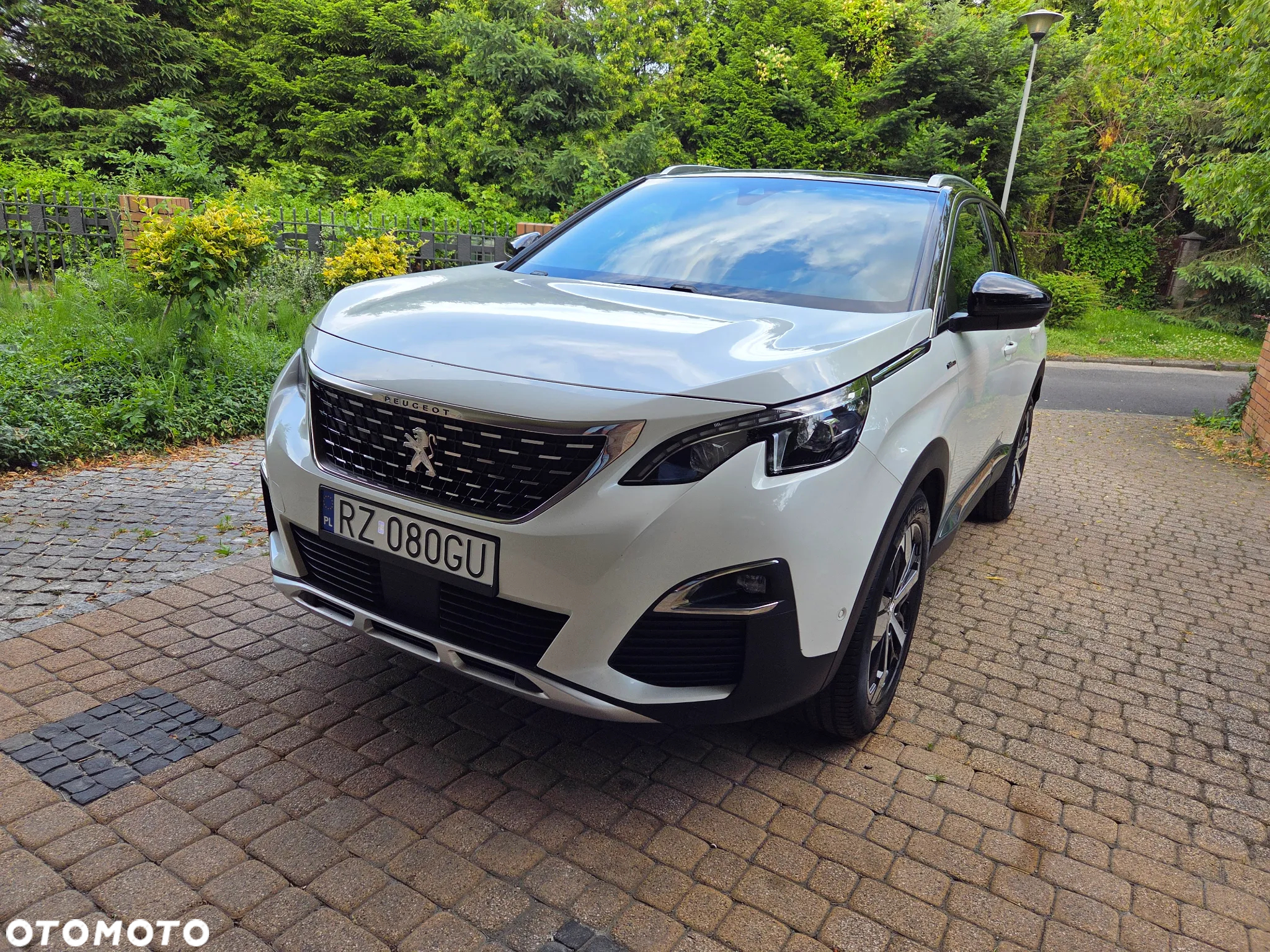 Peugeot 3008 1.5 BlueHDi GT S&S EAT8 - 4