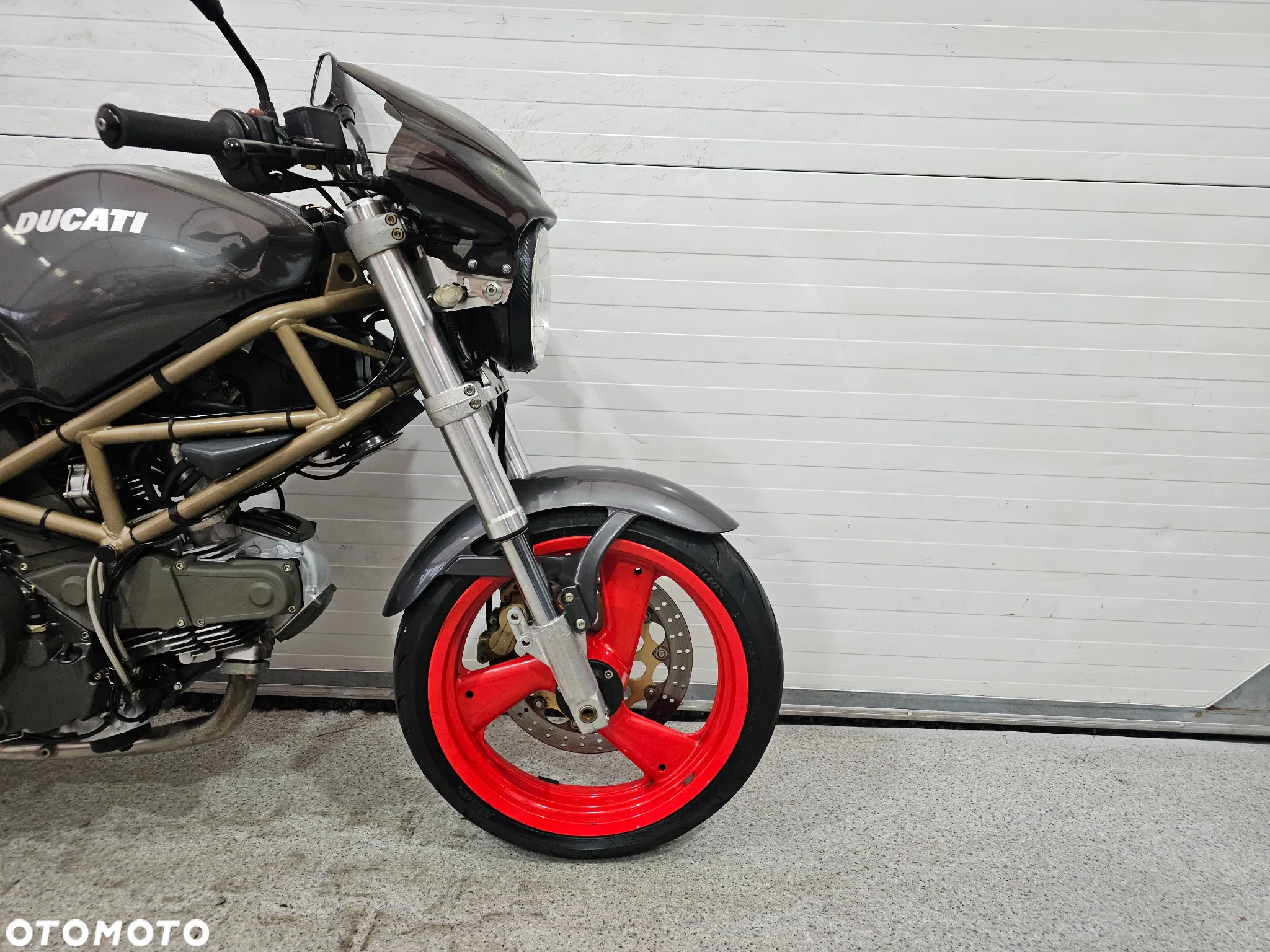 Ducati Monster - 11