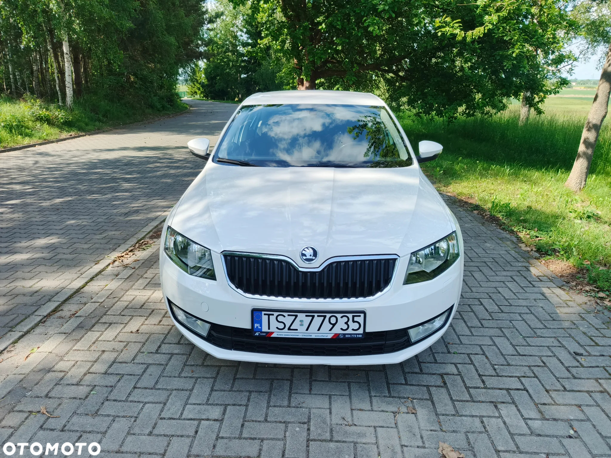 Skoda Octavia 1.6 TDI Greenline - 6
