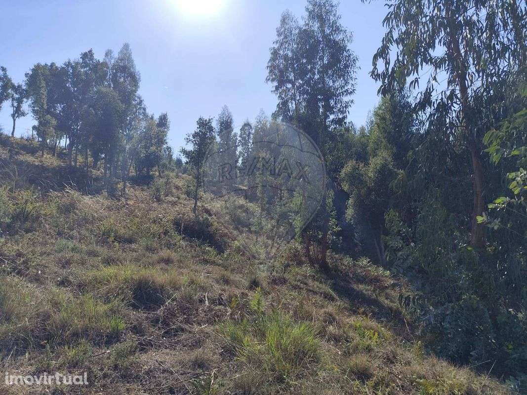 Terreno  para venda - Grande imagem: 5/11