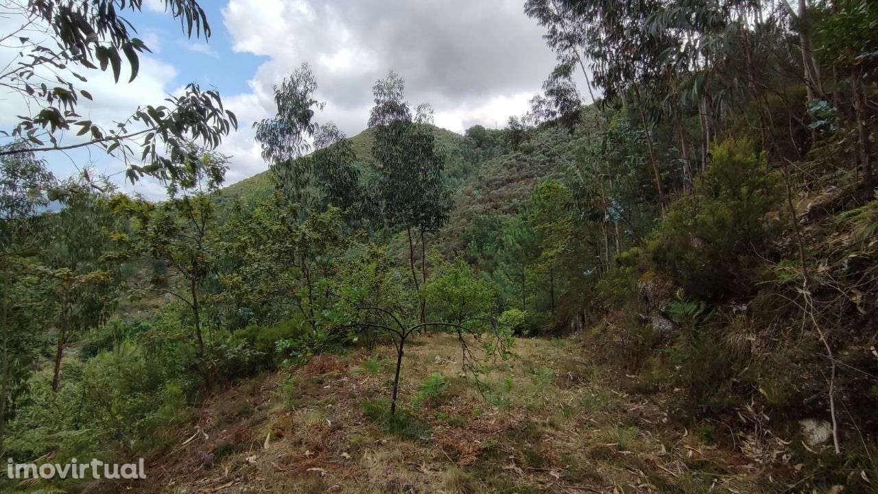 Terreno com ruina para restauro em Pandozes, Vieira do Minho - Grande imagem: 3/11