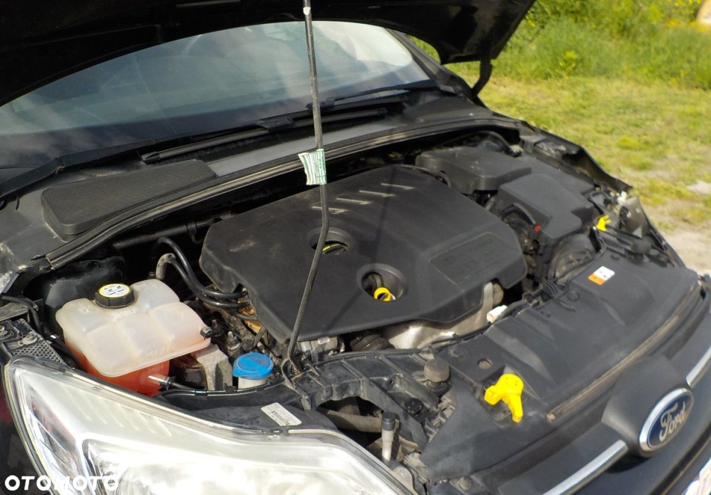 Ford Focus - 8