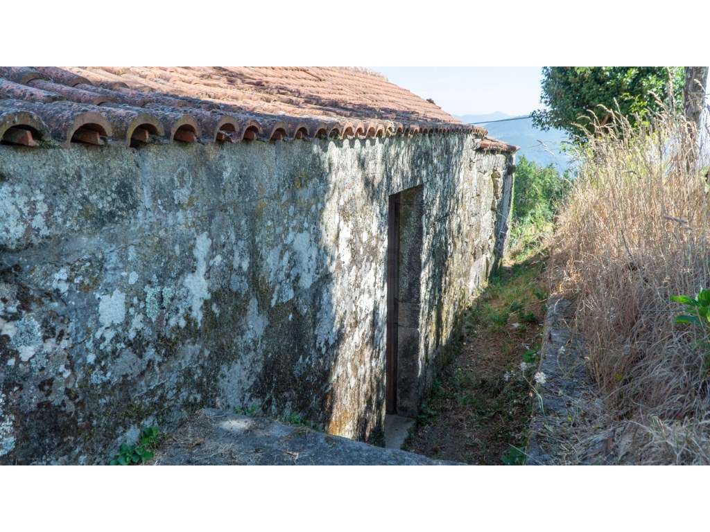 Vende-se Casa Antiga - Escarei-Ribeira de Pena - Grande imagem: 5/9