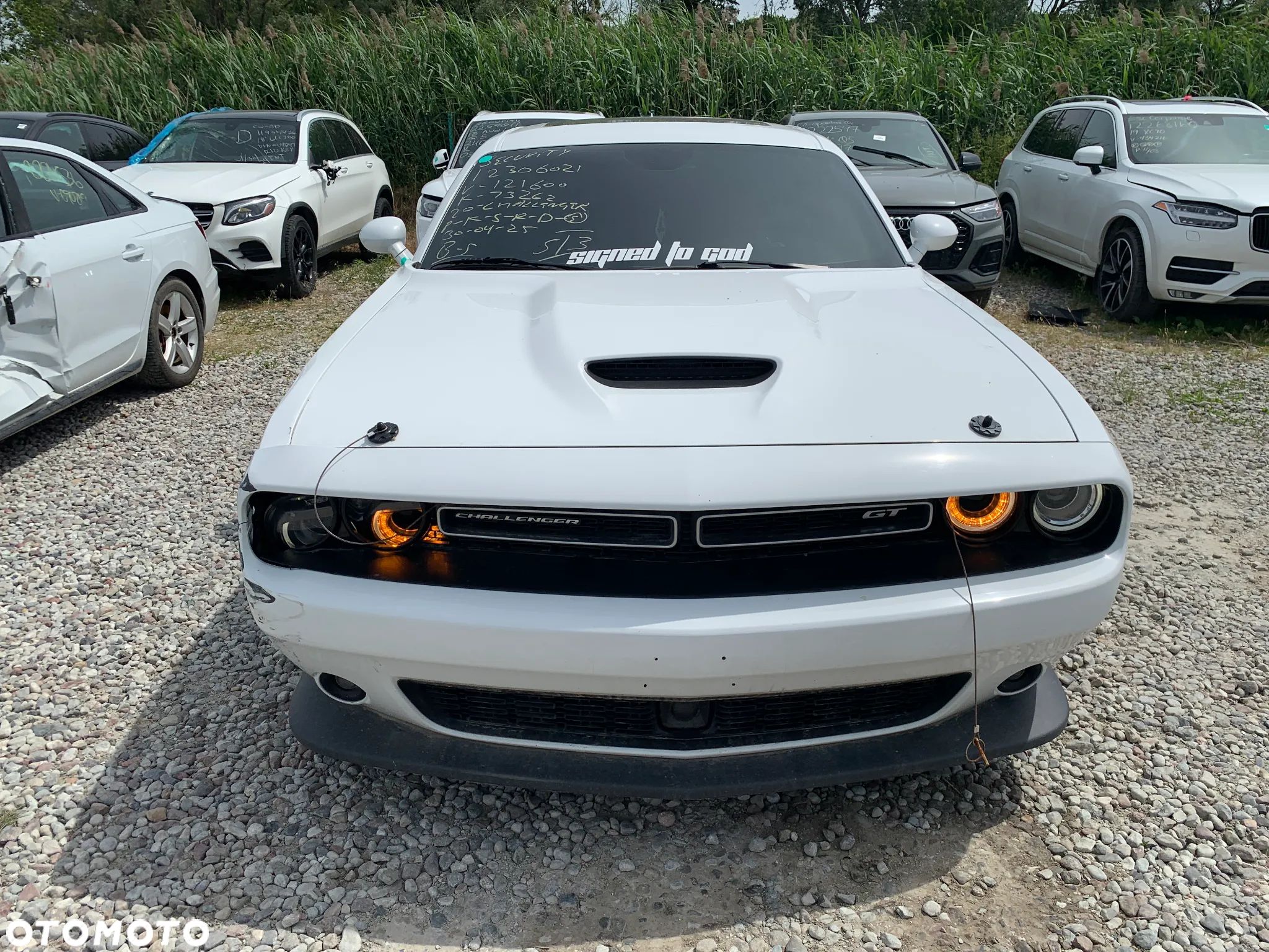 Dodge Challenger Automatik SXT Plus - 1