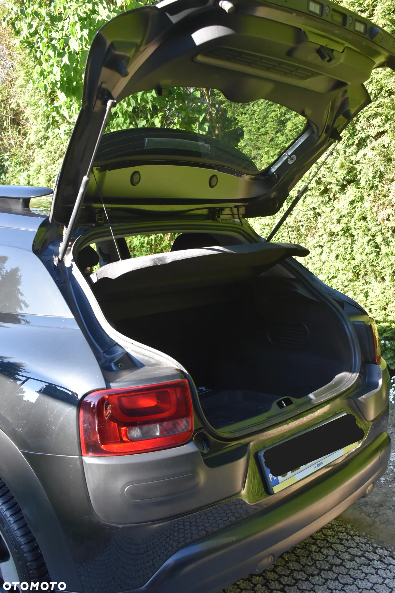 Citroën C4 Cactus 1.2 PureTech Shine - 14