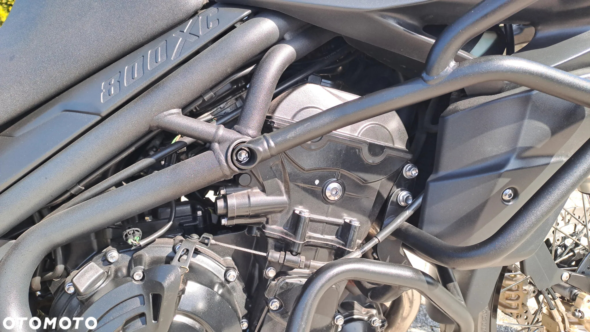Triumph Tiger - 17