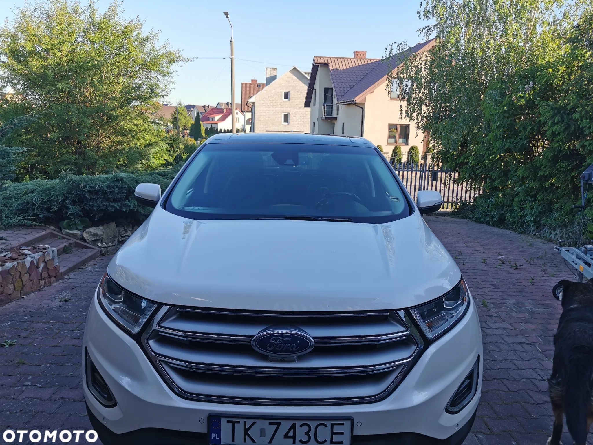 Ford Edge - 1
