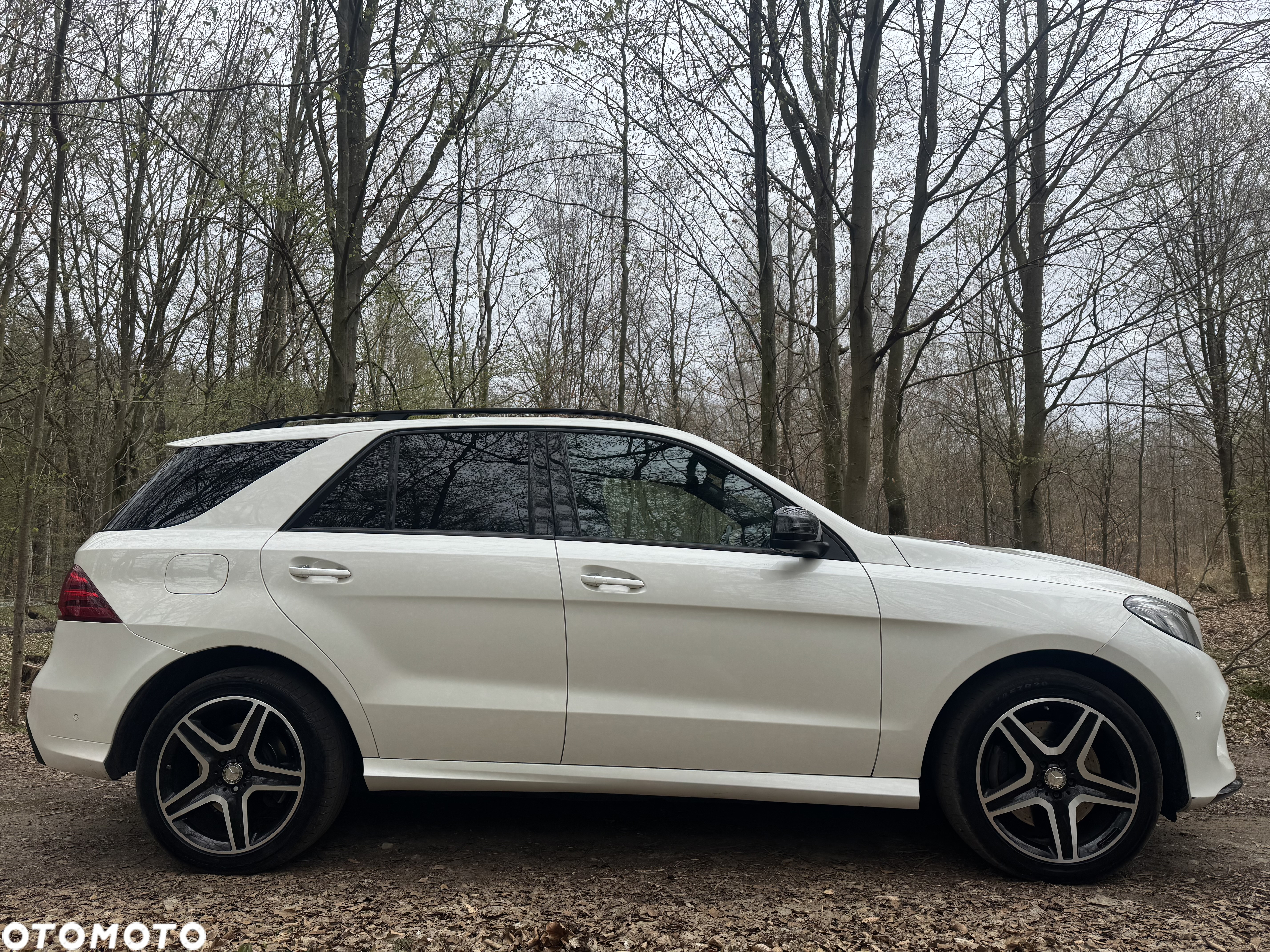Mercedes-Benz GLE AMG 53 Hybrid 4Matic+ AMG Speedshift TCT 9G AMG Line Advanced Plus - 32