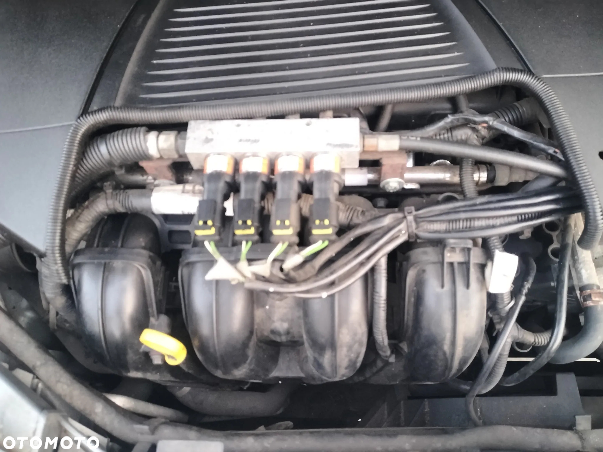 Ford Focus C-Max 1.8 Ambiente - 15