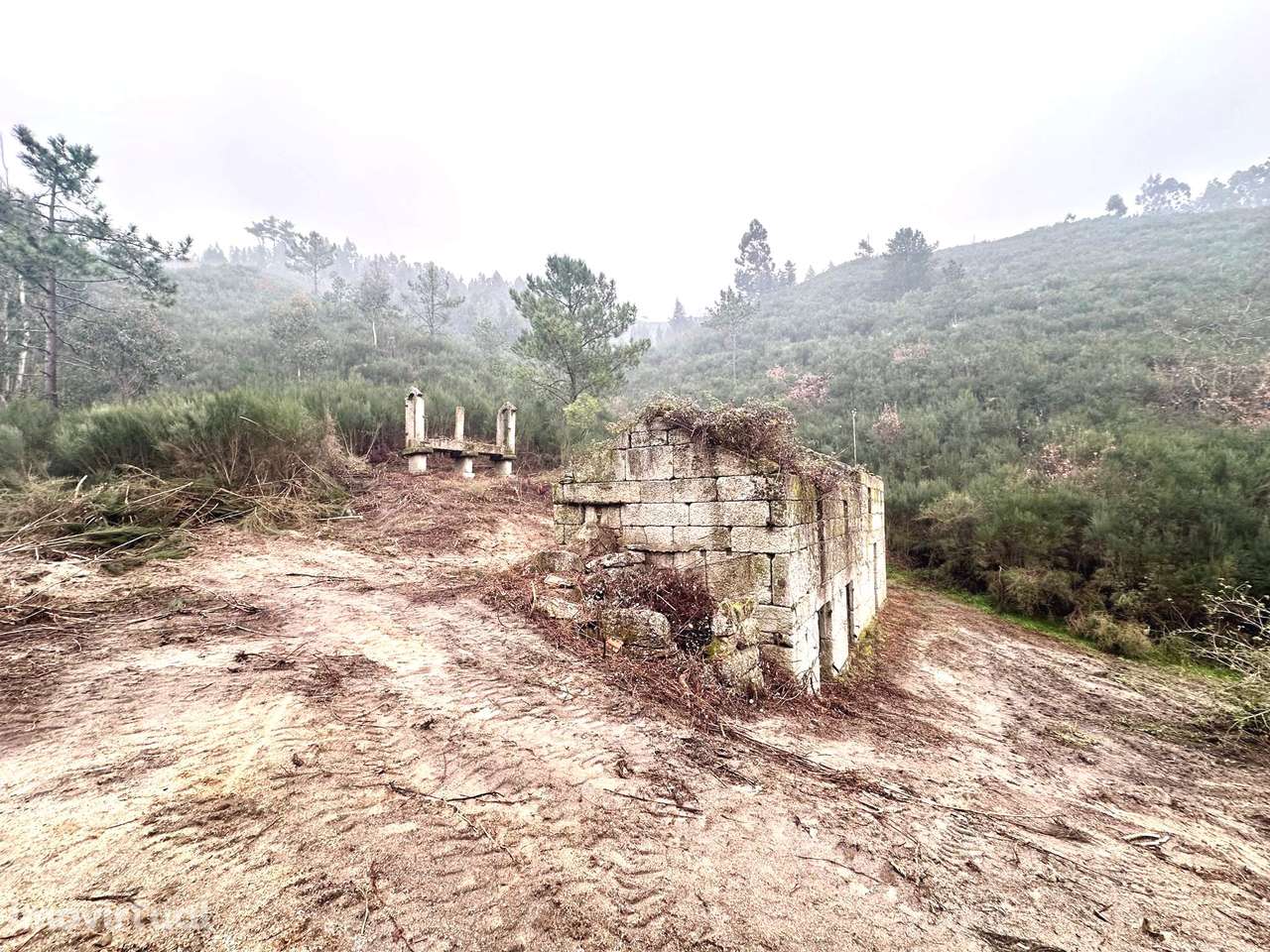 Quinta da Pinha em Bustelo - Amarante - Grande imagem: 5/23