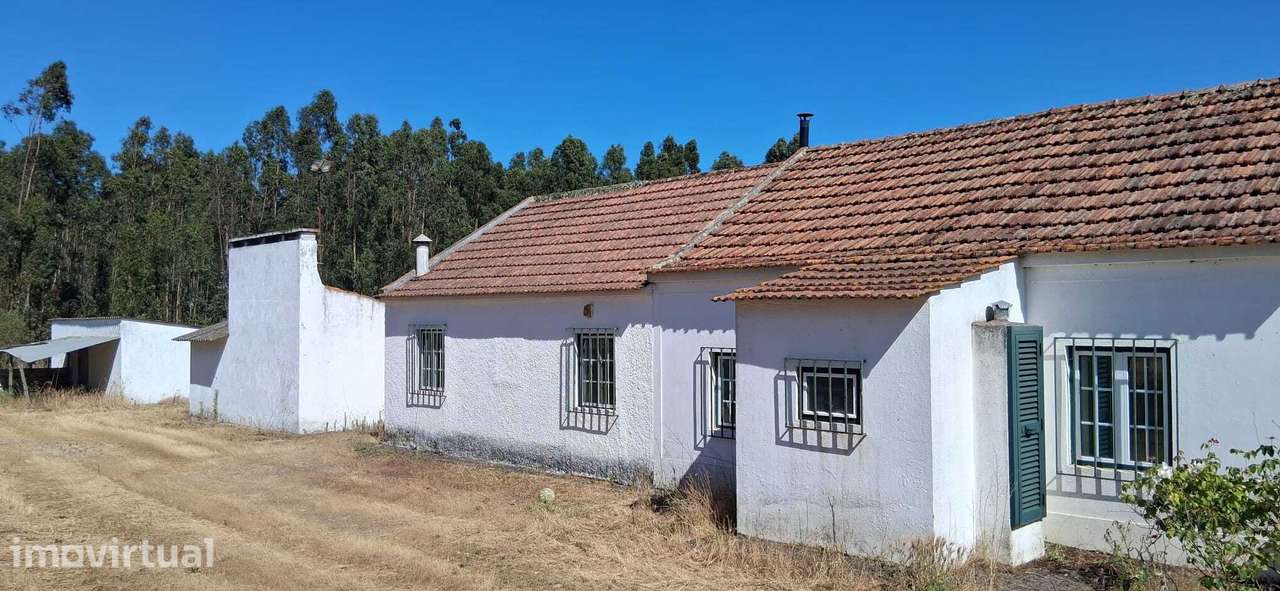 Quinta da Charneca Ribatejana - Zebro / Coruche - Grande imagem: 2/21