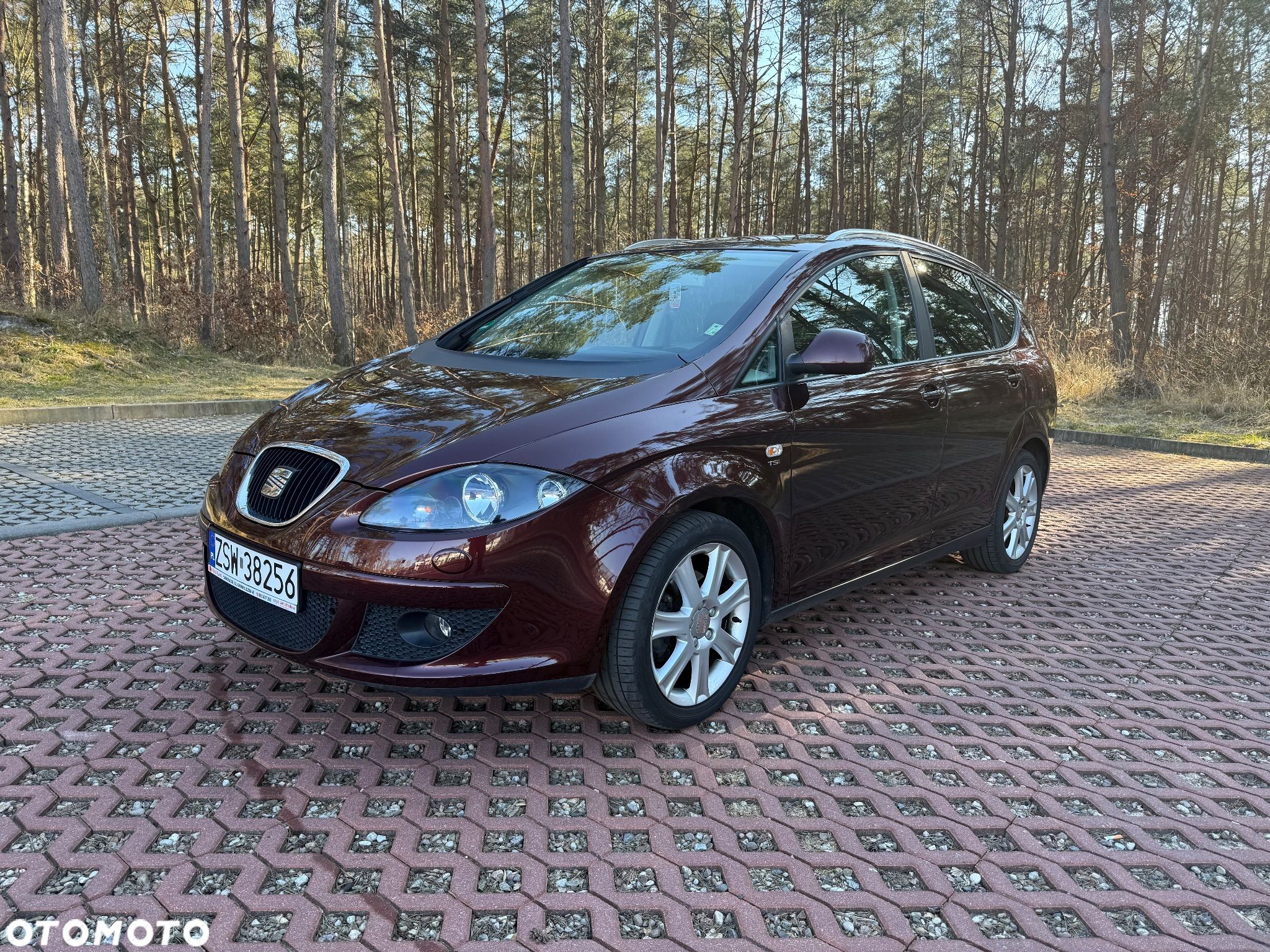 Seat Altea XL 1.4 TSI Reference Comfort - 1