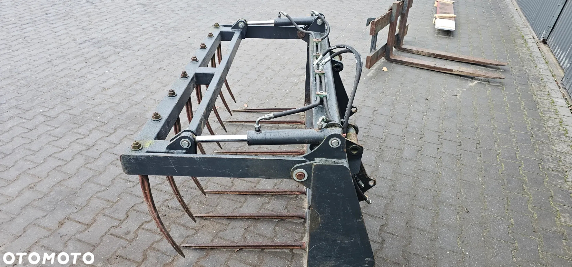 Krokodyl 1,8 metra - 2