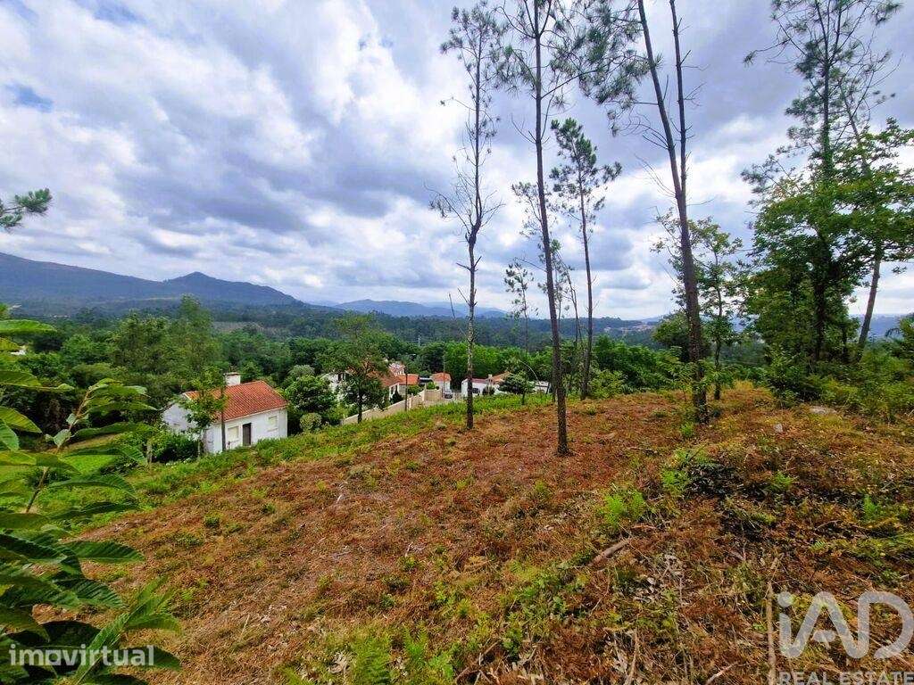 Terreno Agrícola em Lanheses - Grande imagem: 3/21