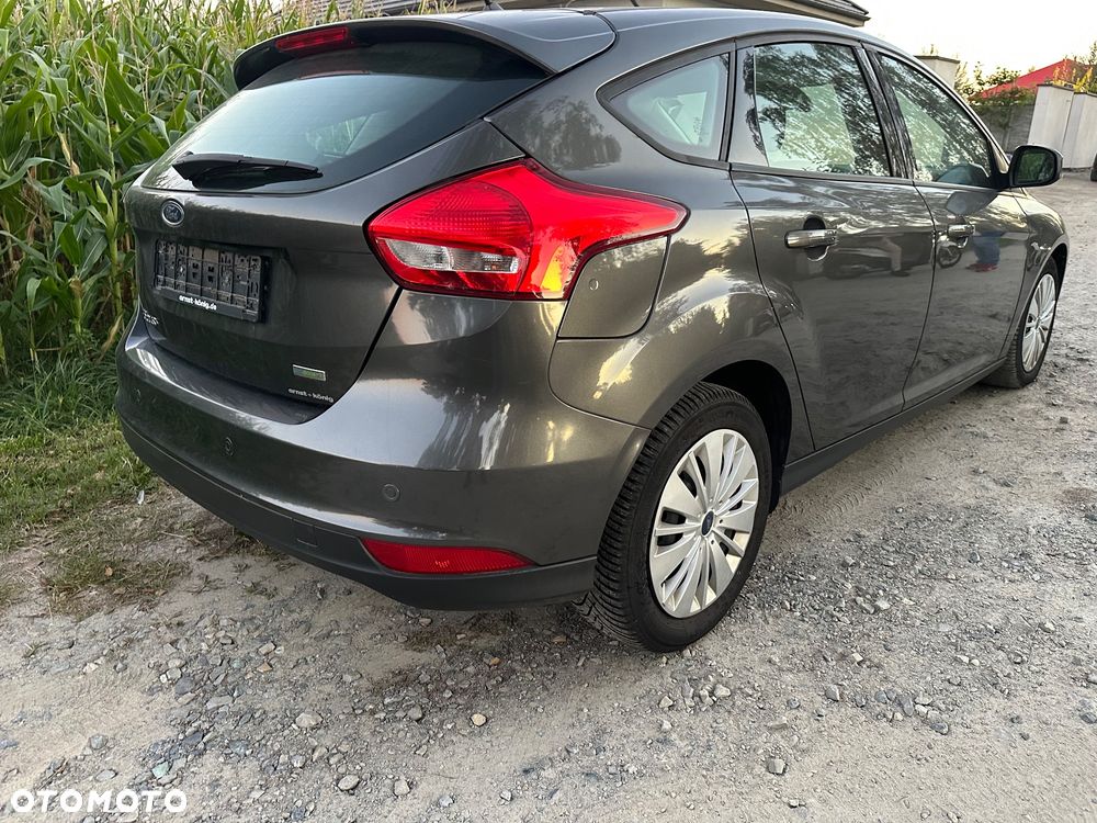 Ford Focus - 6