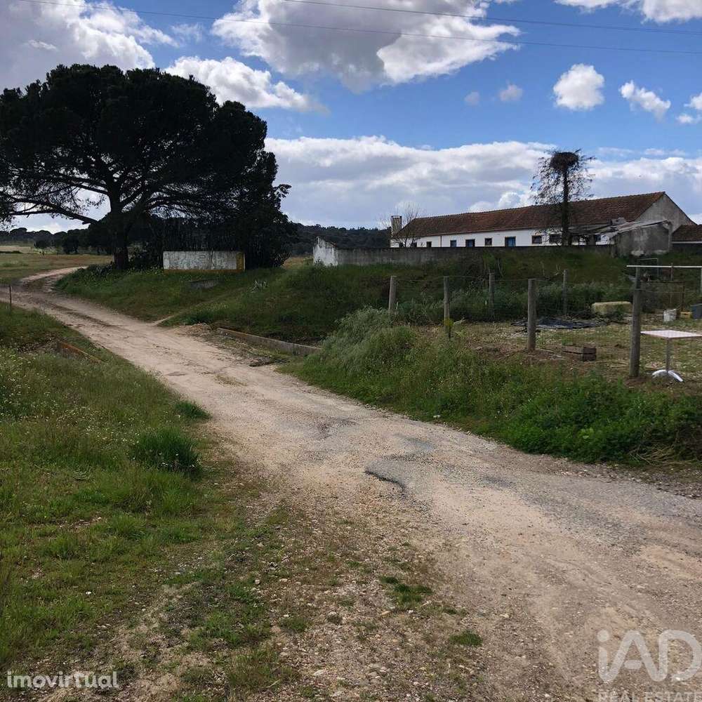 Quinta T3 em Couço de 299,00 m2 - Grande imagem: 5/18