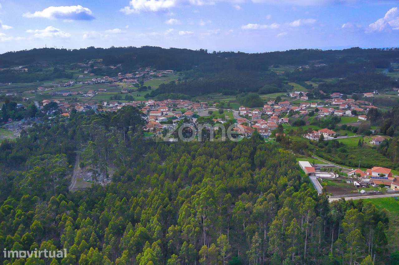 Terreno Rústico de 9.124 m2 em Barreiras - Monte Córdova - Grande imagem: 3/11