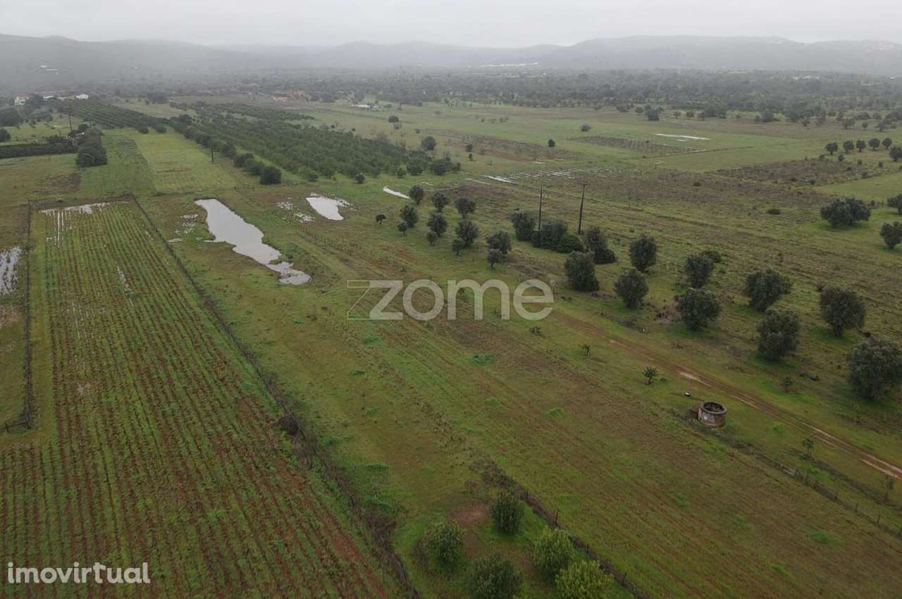 Terreno Rústico c/ 2.440m2 em Lenciscais, Paderne, Albufeira - Grande imagem: 4/16